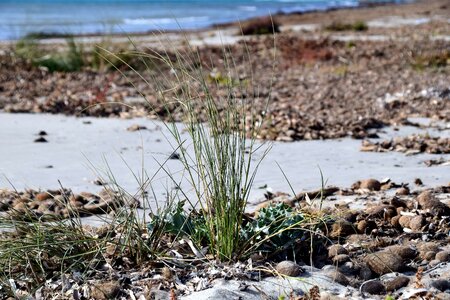 Beach coast coastline