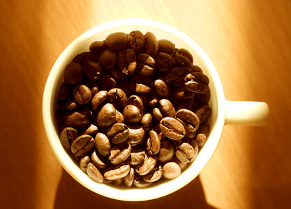 Cup of Coffee Beans photo