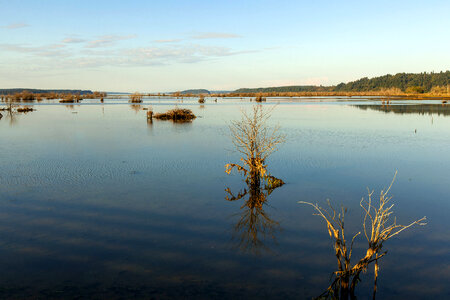 Water runs through Nisqually National Wildlife Refuge