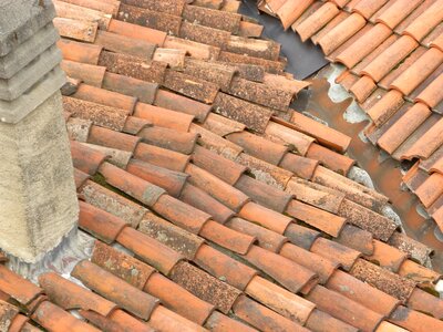 Housetop red roofing photo