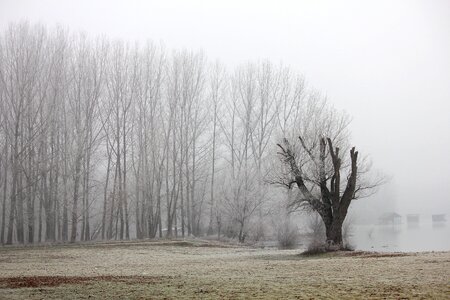 Fog frost riverbank