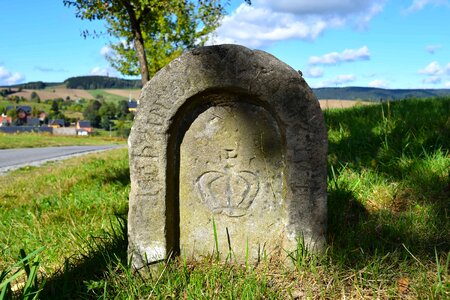 Ancient cemetery flora