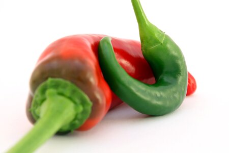 Beautiful Photo bell bell pepper