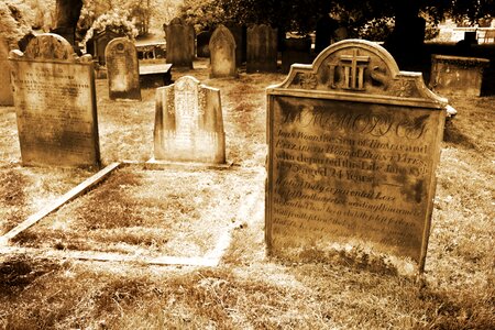 Death faith grass