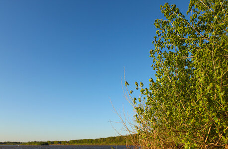 nature scene photo