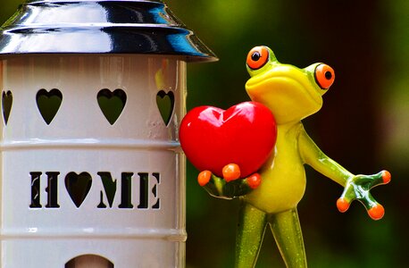 Frog cute decoration