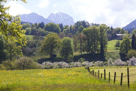 Mountains wendelstein trees photo