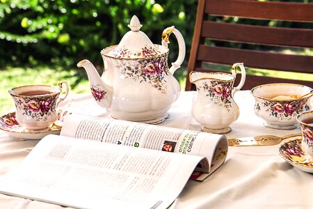 Beautiful Photo bench cup