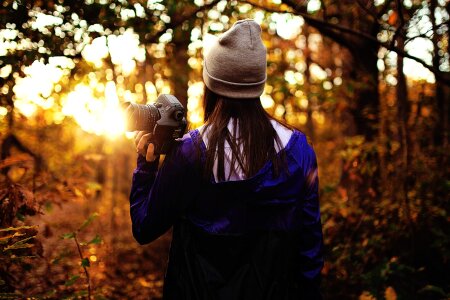 Camera dawn forest