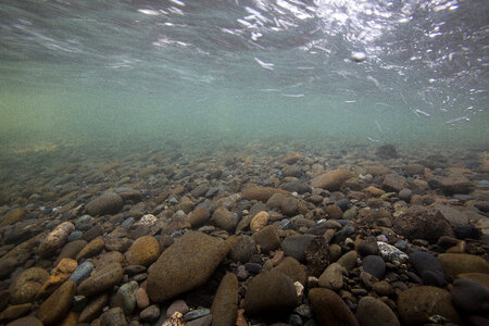 Gravel stream bottom on Ship Creek-4