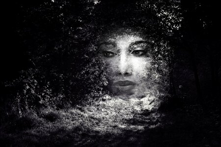 Photo manipulation editing