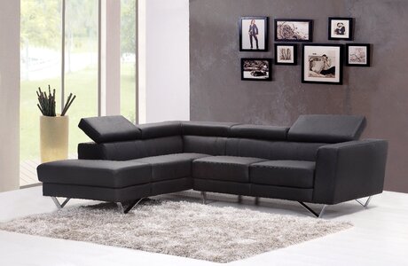 Home interior carpet