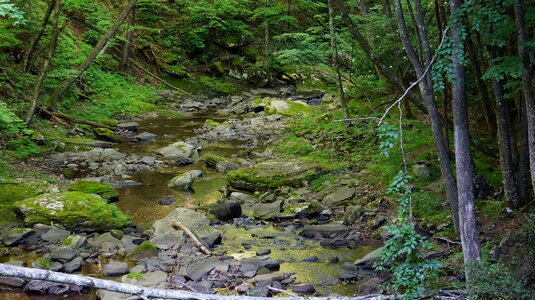 Dolly Sods Wilderness, West Virginia photo