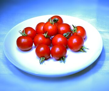 Alimentari food tomatoes photo