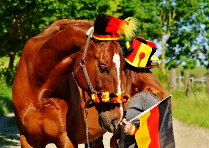 European Championship Football 2016 Germany Horse photo