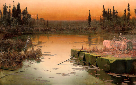 Wetlands landscape at dusk