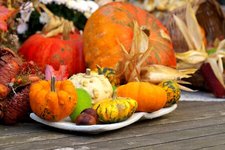 Vegetables harvest autumn decoration
