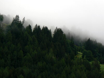 Forested mountain slope in low lying cloud with the evergreen photo