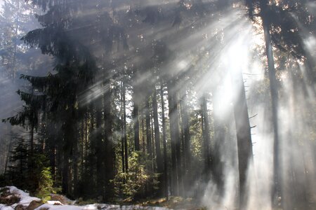 Light flooded sun