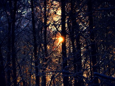 Snowy nature winter landscape photo