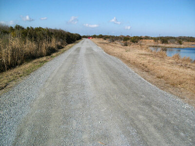 Road at the Lido Beach Wildlife Management Area photo