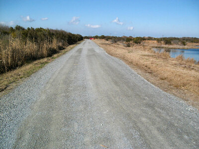Road at the Lido Beach Wildlife Management Area