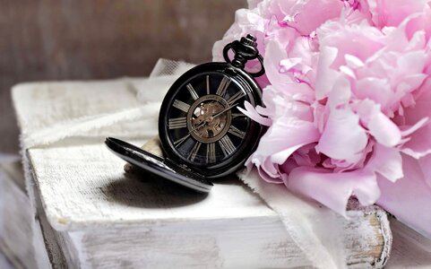 Beautiful Flowers beautiful photo book