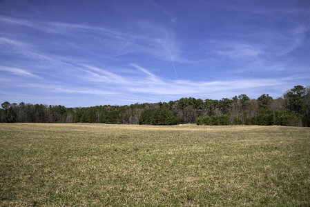 Landscape near Surrender Field in Yorktown, Virginia