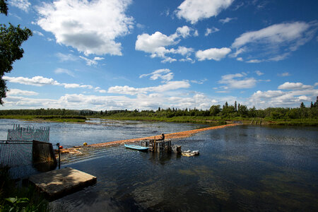 Biologist inspects fish weir-3