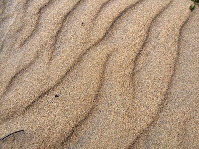 Lands light brown