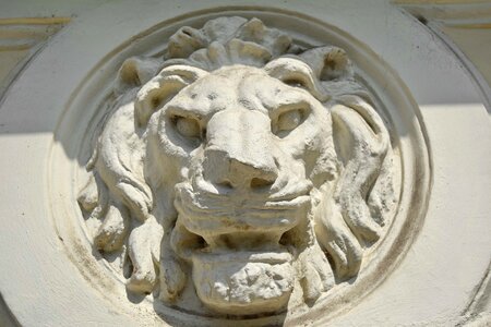 Lion wall sculpture photo