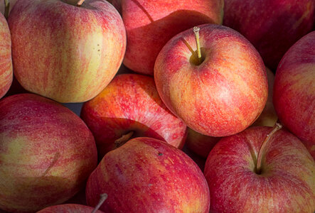 Red Apples Fresh and Healthy