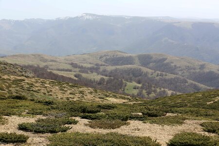 Hillside hilltop panorama
