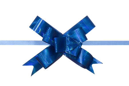 blue bow photo