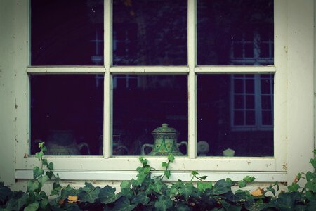 Glass plant window