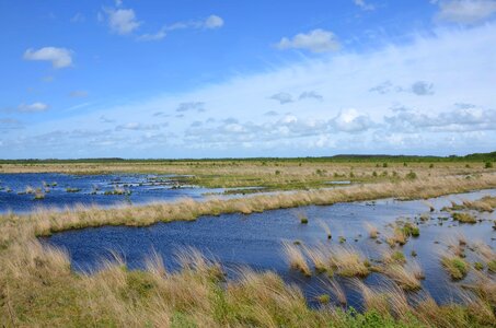 Agriculture beach blue sky