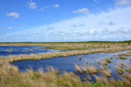 Agriculture beach blue sky photo