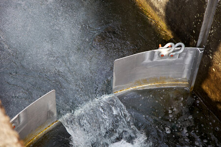 Spawning equipment-4