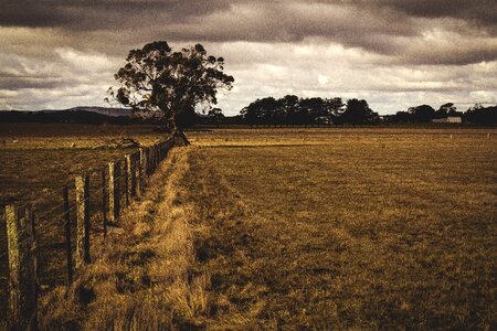 Agricultural rural dark sky