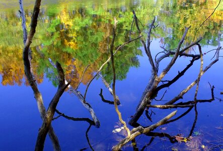 Nature calm outdoor