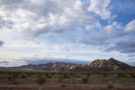 Trilobite Wilderness photo