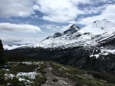 snow capped mountain in winter at canadian rockies