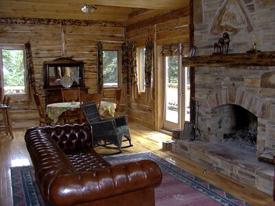 Log cabin interior furniture photo