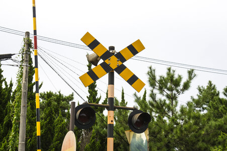 1 Crossing