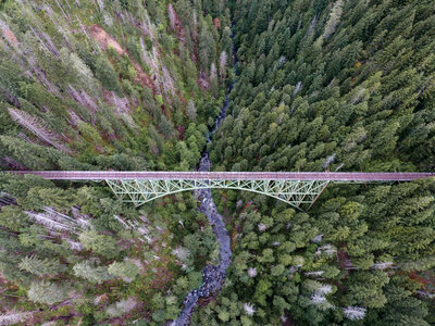 Aerial View of Bridge and Trees