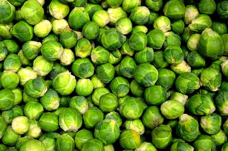 Cabbage diet green leaves