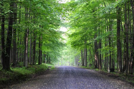 Sand Run Lake Trail - Timberline WV photo