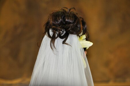 Veil bride and groom marry photo