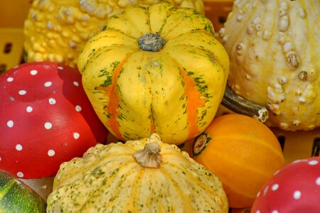 Market merchandise pumpkin