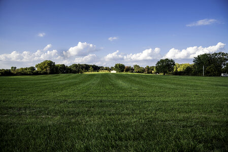 Grass Field landscape photo